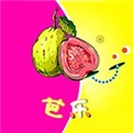 新月直播在线观看视频